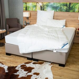 BeCo 4-seizoenen dekbed ANTI-ALLERGIE (155 x 220 cm) (4019793429383)