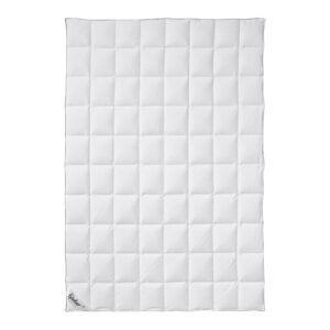 Fjödur Donzen zomer dekbed licht (200 x 200 cm) (4003589074017)