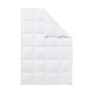 HÄUSSLING Donzen dekbed (200 x 200 cm) (4005029054849)