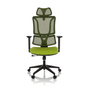 MyBuero Bureaustoel Ergomy (Groen) (4064323037187)