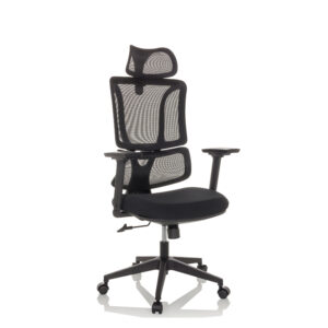 MyBuero Bureaustoel Ergomy (Zwart) (4064323037163)