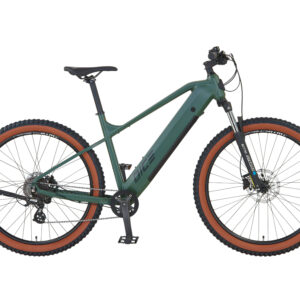 PROPHETE Elektrische mountainbike DICE 1.0 (4014607554152)