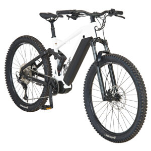PROPHETE Elektrische mountainbike Dice 5.0 (4014607559744)