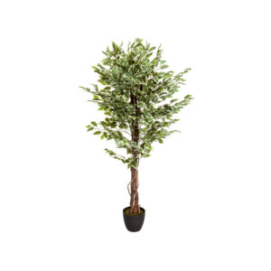 hjh OFFICE Kunstplant Ficus (4251084696948)
