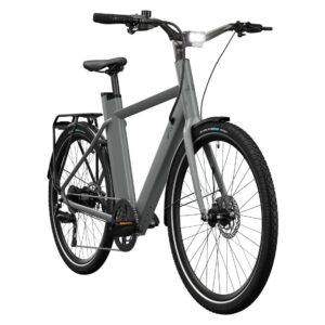 CRIVIT Urban elektrische fiets 3.0 X kettingaandrijving (Ash Grey) (4052916231272)