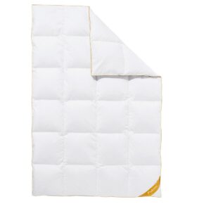 BALETTE deLuxe ganzendons cassette dekbed Gold Edition extra warm (155 x 220 cm) (4022108865936)